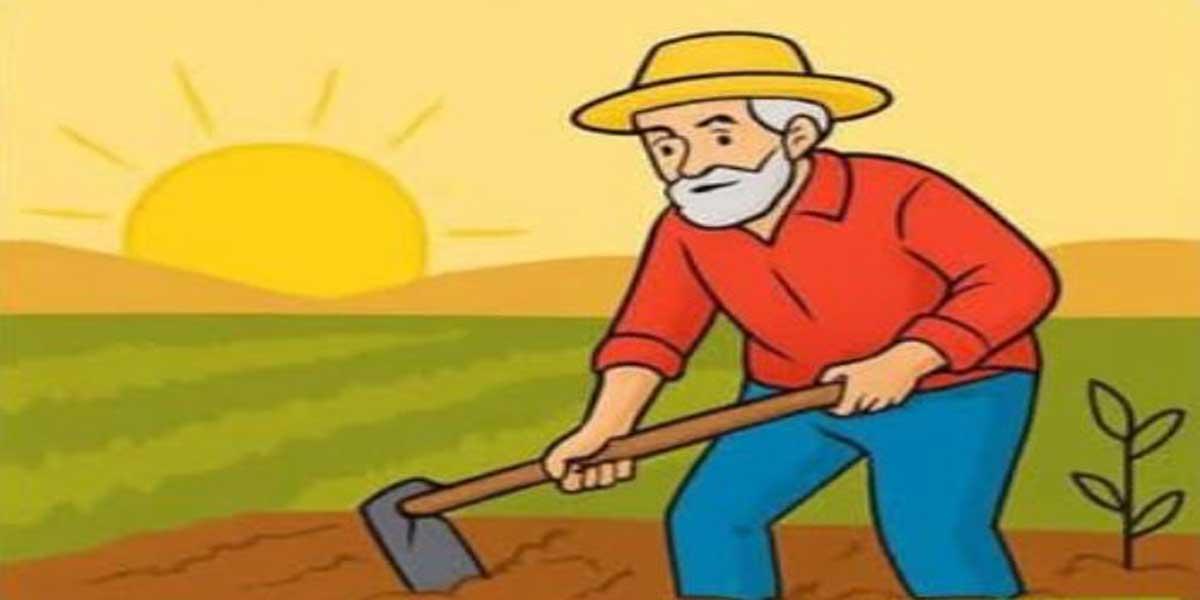 An Honest Farmer বিষয়ক Story Writing নিয়ে আলোচনা,  ৭ম পর্ব, এইচএসসির ইংরেজি ১ম পত্র
