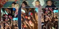উখিয়ায় রোহিঙ্গা ক্যাম্পে পাহাড়ধসে ৮ জনের মৃত্যু