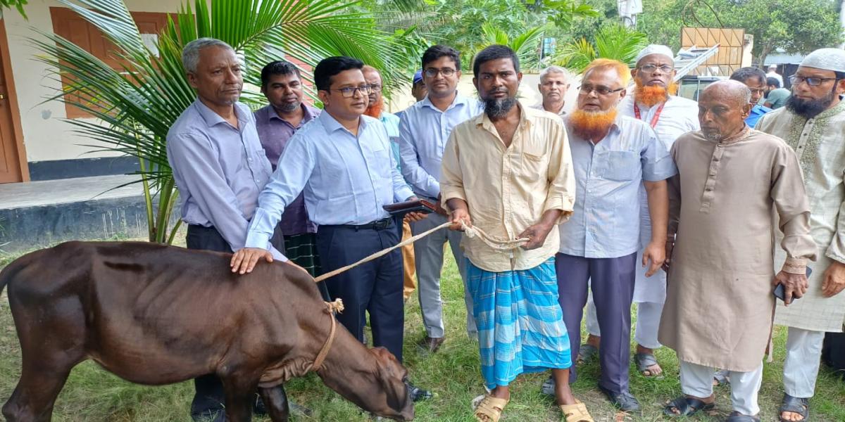 শিবচরে হতদরিদ্র ৬ পরিবারের মাঝে  গাভী বিতরণ