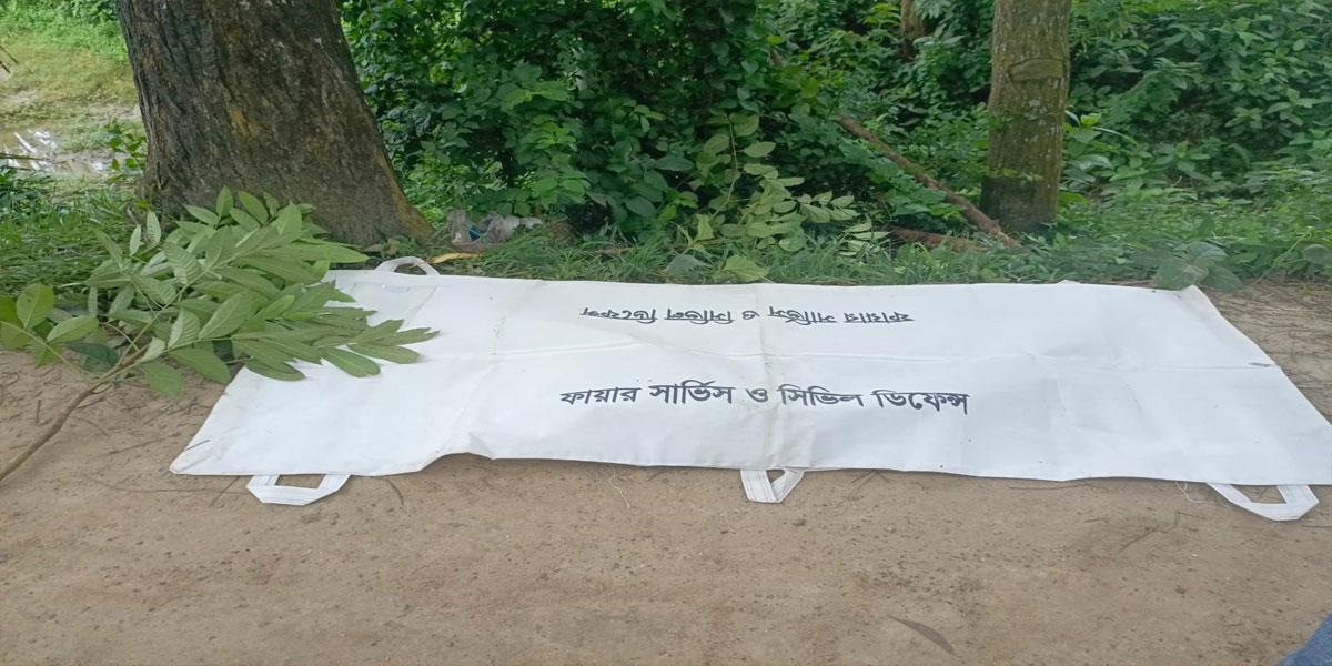 দিনাজপুরে সড়ক দুর্ঘটনায় মা-ছেলে নিহত