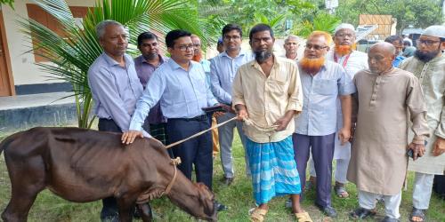 শিবচরে হতদরিদ্র ৬ পরিবারের মাঝে  গাভী বিতরণ