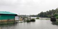 টানা ভারী বর্ষণ, জোয়ারের পানিতে প্লাবিত সেন্টমার্টিন