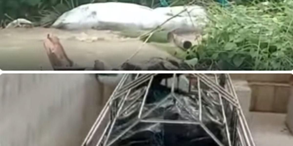 সাতকানিয়ায় পানির স্রোতে ভেসে উঠলো ৩টি মরদেহ