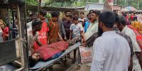 গাংনীতে লাটাহাম্বা উল্টে নিহত ১