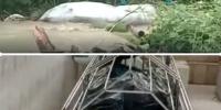 সাতকানিয়ায় পানির স্রোতে ভেসে উঠলো ৩টি মরদেহ