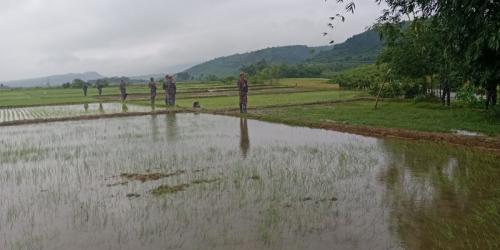 সিলেট সীমান্তে বিএসএফের অবৈধ পুশইনের চেষ্টা ব্যর্থ, সতর্ক বিজিবি