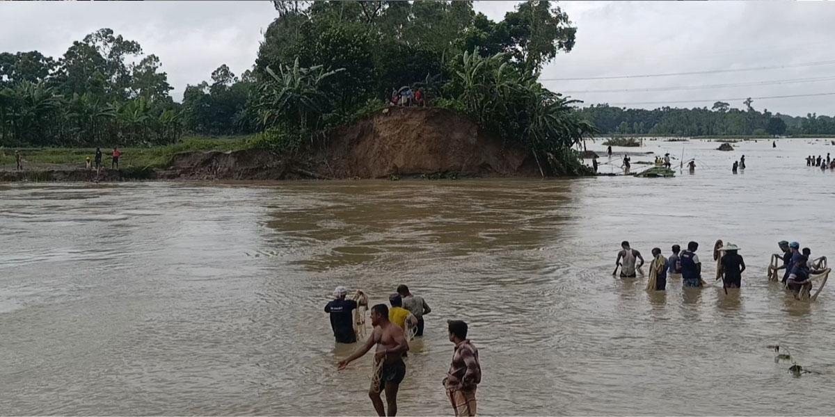 হবিগঞ্জে বাঁধ ভাঙনে ২৫ গ্রাম পানিবন্দি, ভোগান্তিতে ৩০ হাজার বাসিন্দা