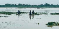কুমিল্লায় পাহাড়ি ঢলে ভাসল কৃষকের স্বপ্ন