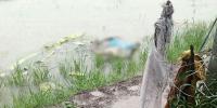সাতক্ষীরায় নিখোঁজের ২ দিন পর কিশোরের মরদেহ উদ্ধার