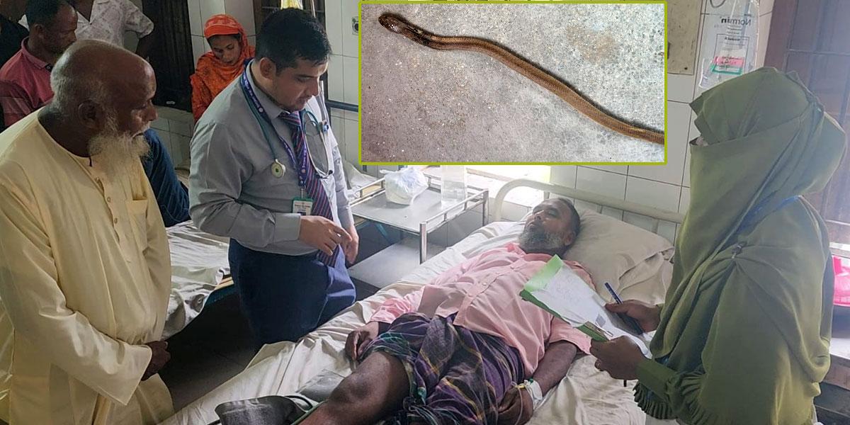 কামড়ের পর মৃত সাপ নিয়ে হাসপাতালে হাজির রোগী