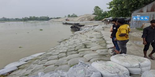 যমুনার ভাঙনে ধুনটে হুমকির মুখে বন্যা নিয়ন্ত্রণ বাঁধ