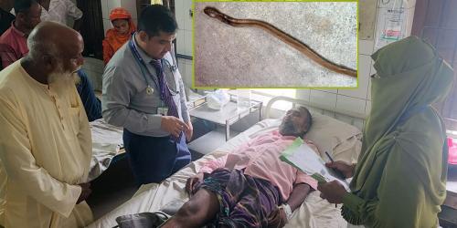 কামড়ের পর মৃত সাপ নিয়ে হাসপাতালে হাজির রোগী