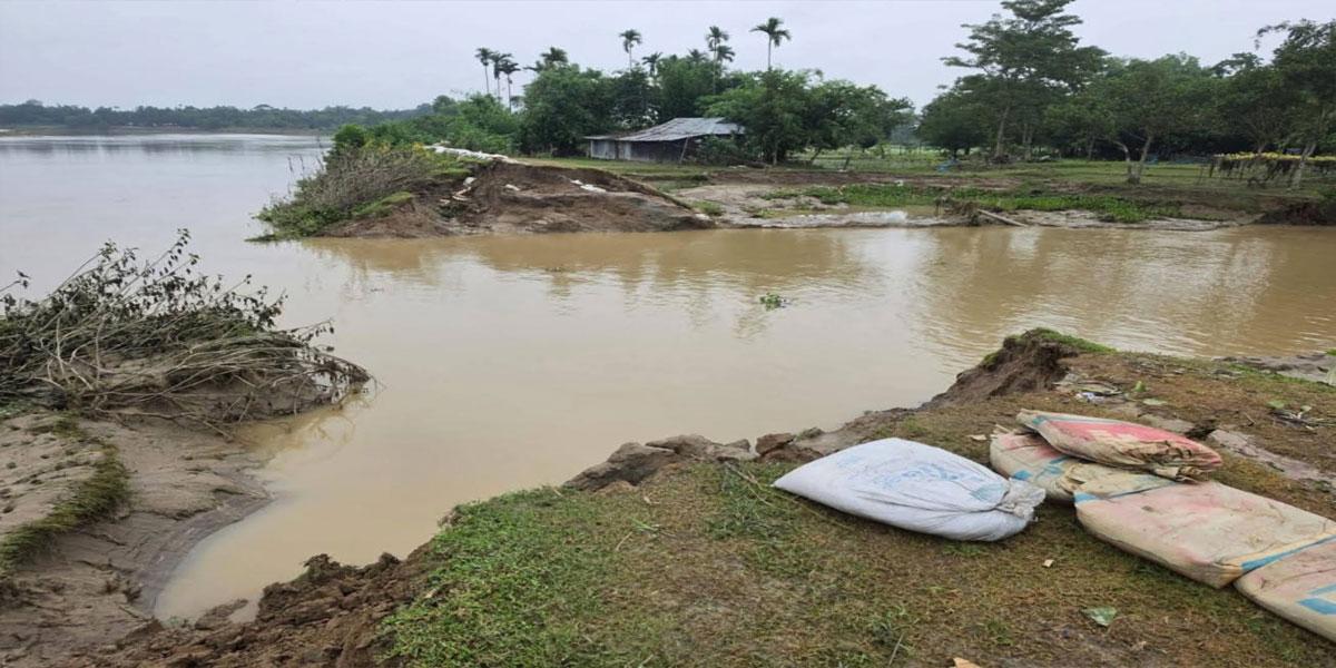 মৌলভীবাজারে বন্যার শঙ্কা কেটেছে, কমছে নদ-নদীর পানি