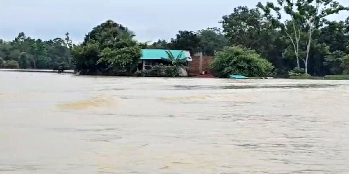 বৃষ্টি আর উজানের ঢলে বাড়ছে কাপ্তাই হ্রদের পানি, নিম্নাঞ্চল প্লাবিত