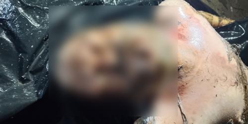 সাতকানিয়ায় অজ্ঞাত ব্যক্তির মরদেহ উদ্ধার