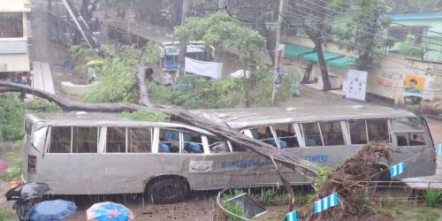 জবির বাসে ভেঙে পড়ল গাছ