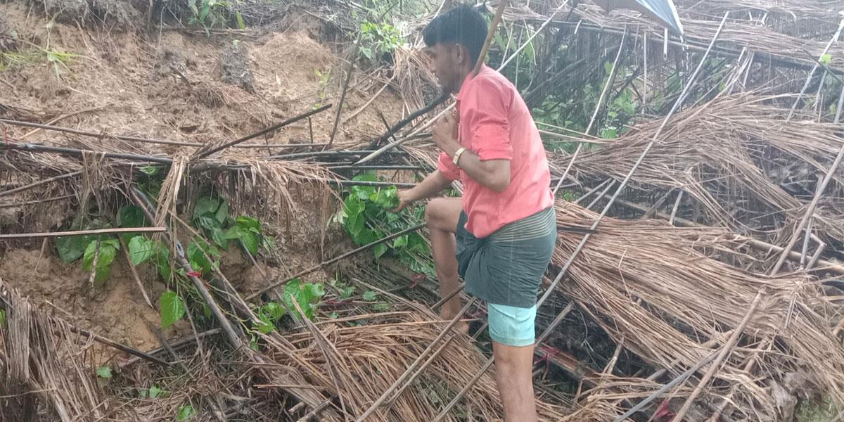 পেকুয়ায় পাহাড়ধসে মাটির নিচে পানের বরজ, নিঃস্ব প্রবাস ফেরত চাষিরা