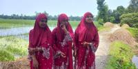 যমজ ৩ বোনের ট্যালেন্টপুলে বৃত্তি
