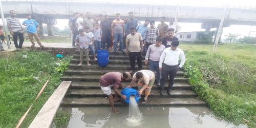 গোপালগঞ্জে ১২ লাখ টাকার অবৈধ চিংড়ির রেণু জব্দ