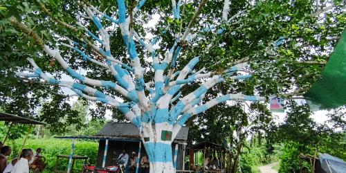 সিরাজগঞ্জে ব্যতিক্রমী 'আর্জেন্টিনা বটগাছ'