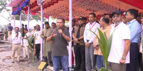 গৌরনদীতে বৃক্ষরোপণ কর্মসূচিতে প্রধানমন্ত্রী