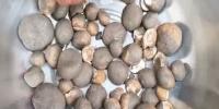 সবজির কেজি ১২০০, উপকারিতা কী?