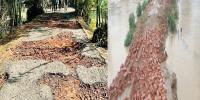 পানি কমতেই ভেসে উঠছে ক্ষতচিহ্ন