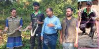 সাতকানিয়ায় সুপারি গাছ থেকে অজগর ও ঘর থেকে গোখরা সাপ উদ্ধার