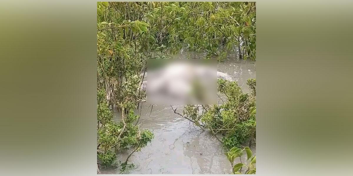 নিঝুমদ্বীপে অর্ধগলিত মরদেহ উদ্ধার