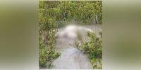 নিঝুমদ্বীপে অর্ধগলিত মরদেহ উদ্ধার