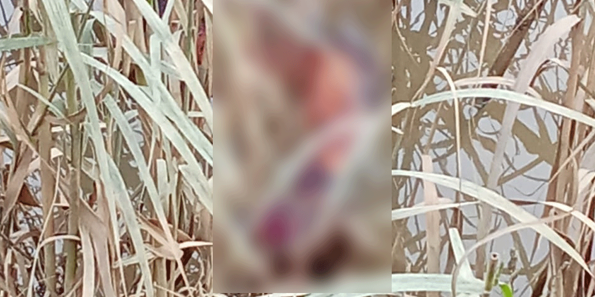 ফটিকছড়িতে মিলল বিচ্ছিন্ন হাত