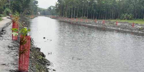 খাল পুনর্খননে সেচ সংকটের অবসান, স্বস্তিতে মতলবের কৃষকরা