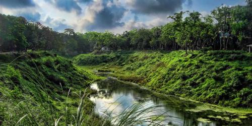 ঢাকার কাছেই সবুজ অরণ্যের ভ্রমণস্বর্গ
