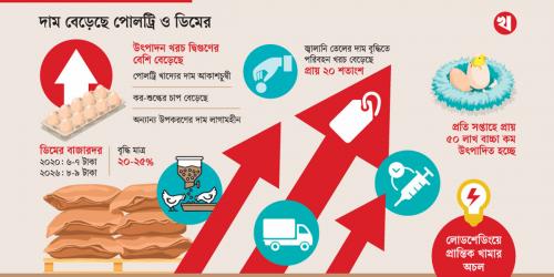 পোলট্রিশিল্পে বিপর্যয়, কমেছে উৎপাদন