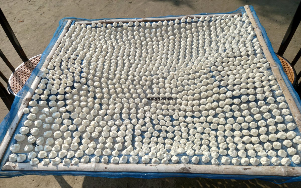 শেখ হাসিনার জনসভা