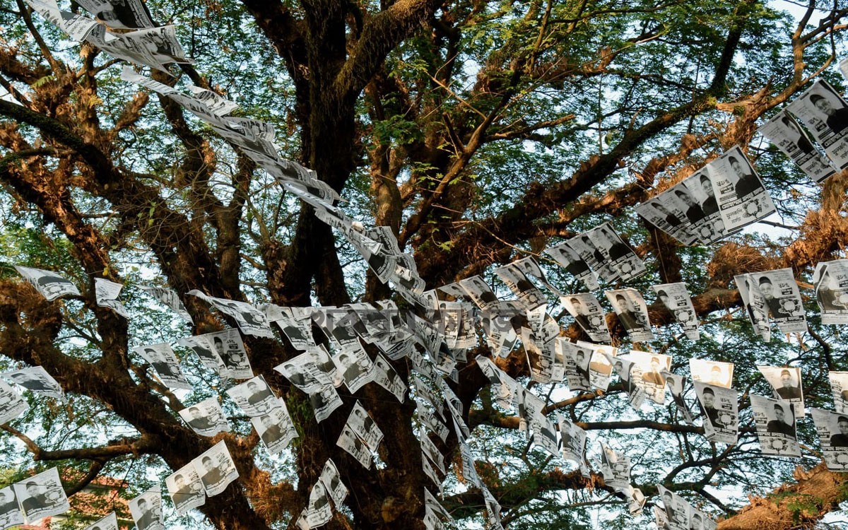 ভোট