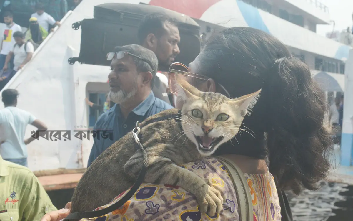 বঙ্গবাজার অস্থায়ী মার্কেটে উচ্ছেদ