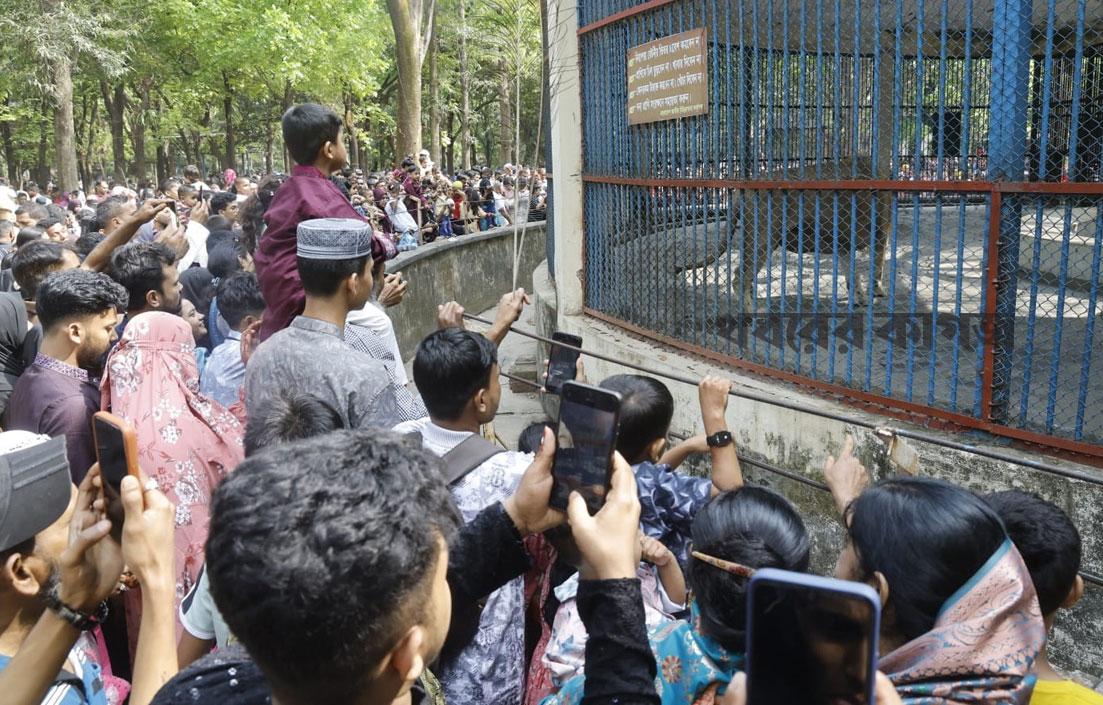 বিনোদন