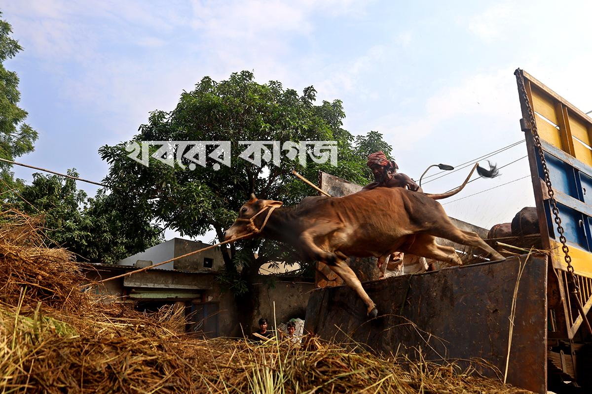১৯ মে ২০২৬
