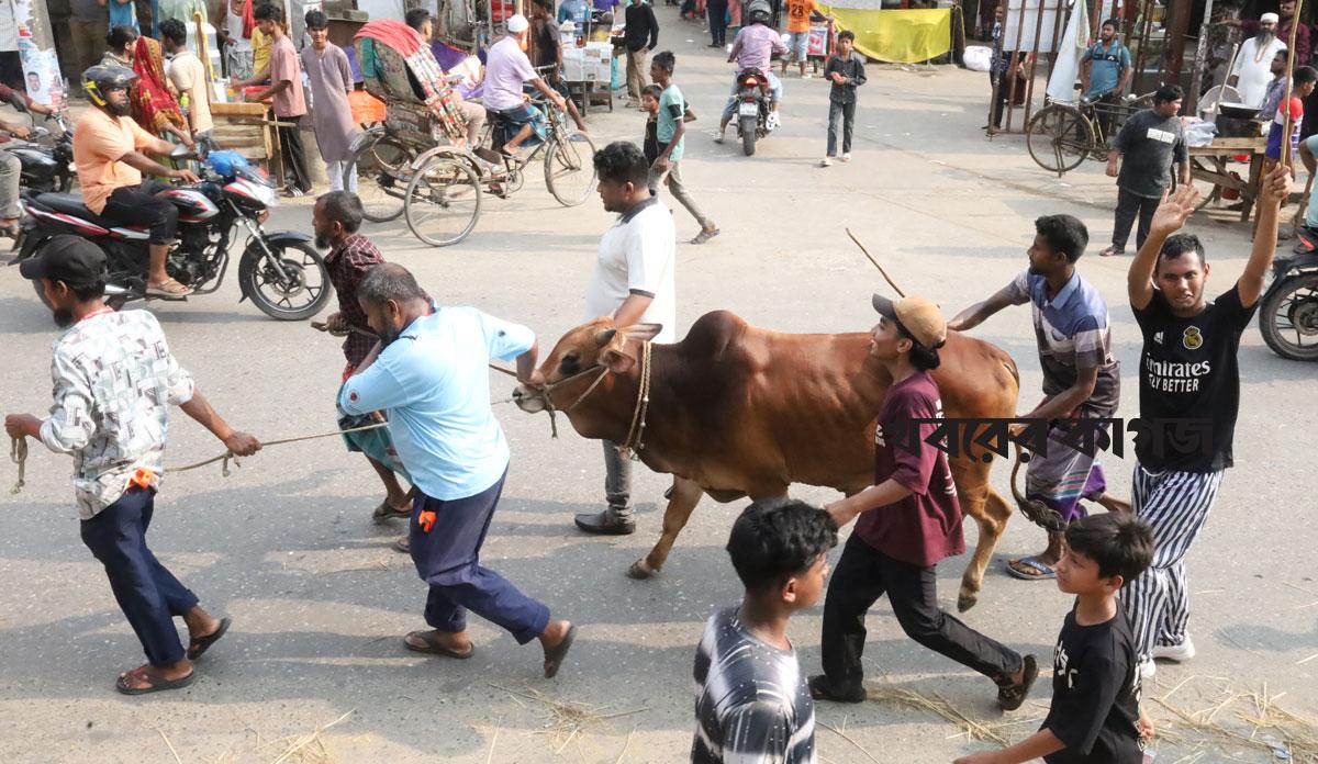 হাম
