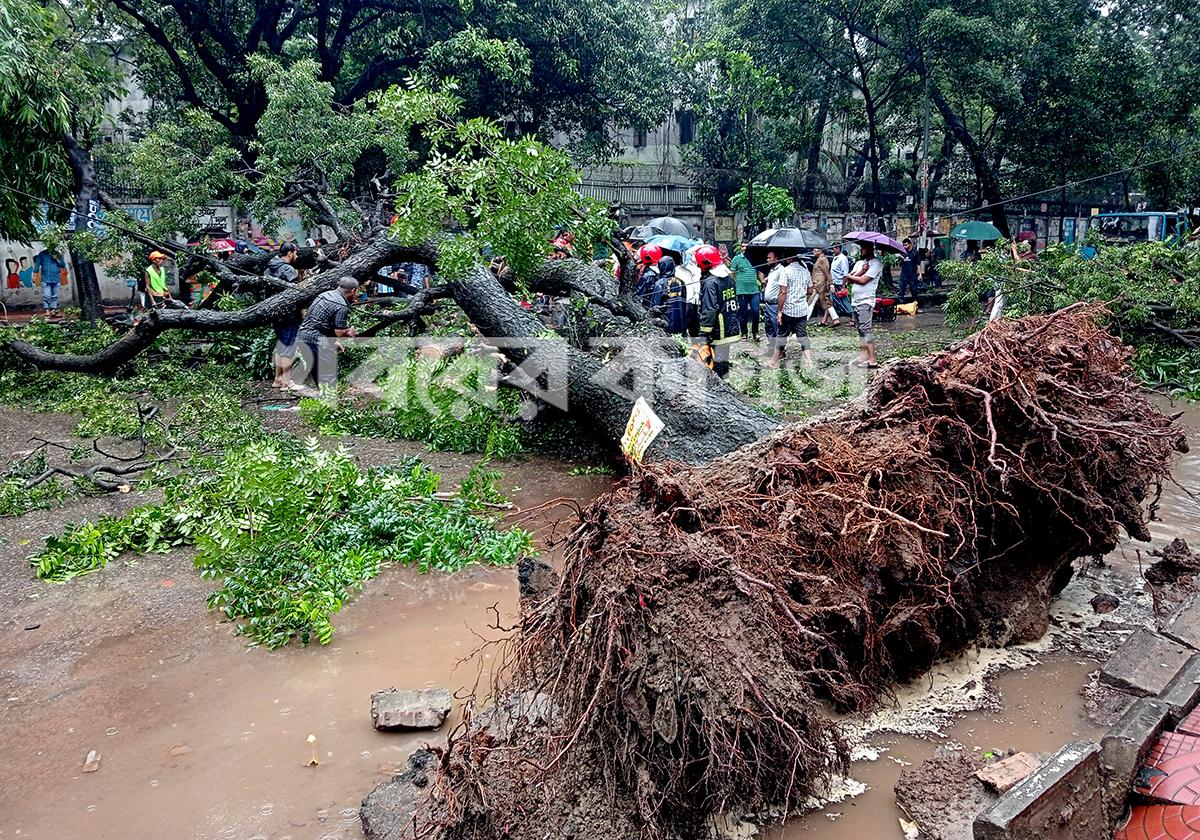 ধানমন্ডি ২৭ নম্বর