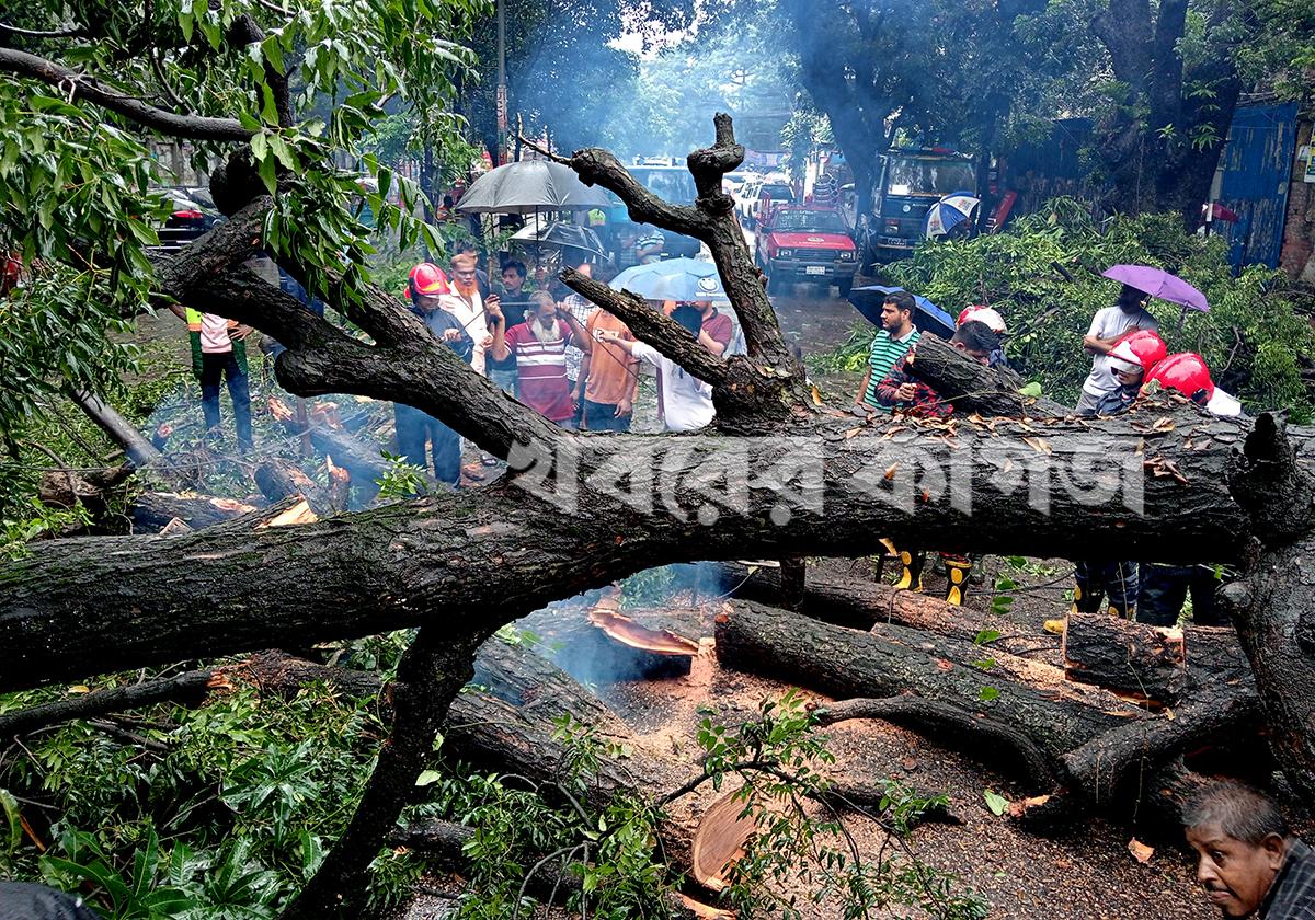 ধানমন্ডি ২৭ নম্বর