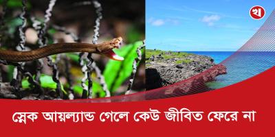 যে সাপের বিষে মুহূর্তেই গলে যায় মানুষের মাংস