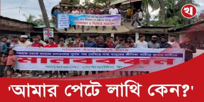 পর্যটকবাহী জাহাজ ঢুকতে দেবে না সেন্টমার্টিন বাসী! কিন্তু কেন?