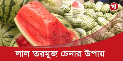 আপনি কি তরমুজ কিনে ঠকেন, তাহলে এই ভিডিও আপনার জন্য