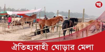 জয়পুরহাটে এক ঘোড়ার দাম ৯ লাখ