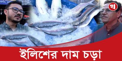 পহেলা বৈশাখ ঘিরে ৭শত টাকার ইলিশ ১৫শত টাকা