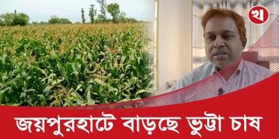 জয়পুরহাটে প্রায় ১০ হাজার মেট্রিক টন ভুট্টা উৎপাদনের আশা