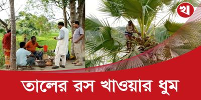 গরমে ক্লান্তি দূর করতে পান করছেন তালের রস