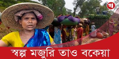 ভাগ্য পরিবর্তন হয় না সিলেটের চা শ্রমিকদের